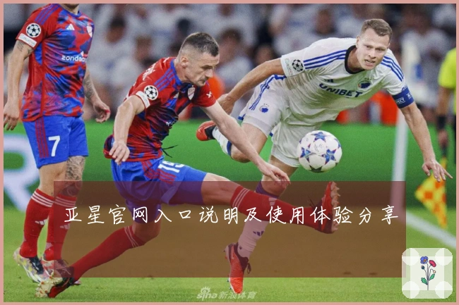 亚星官网入口说明及使用体验分享