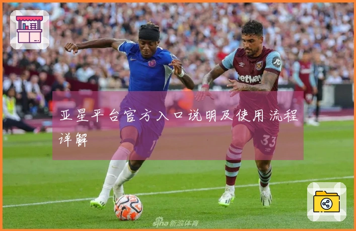 亚星平台官方入口说明及使用流程详解